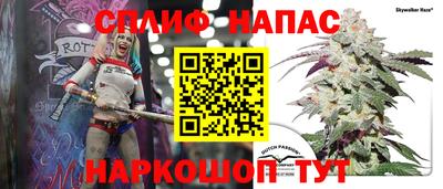 тгк Будённовск