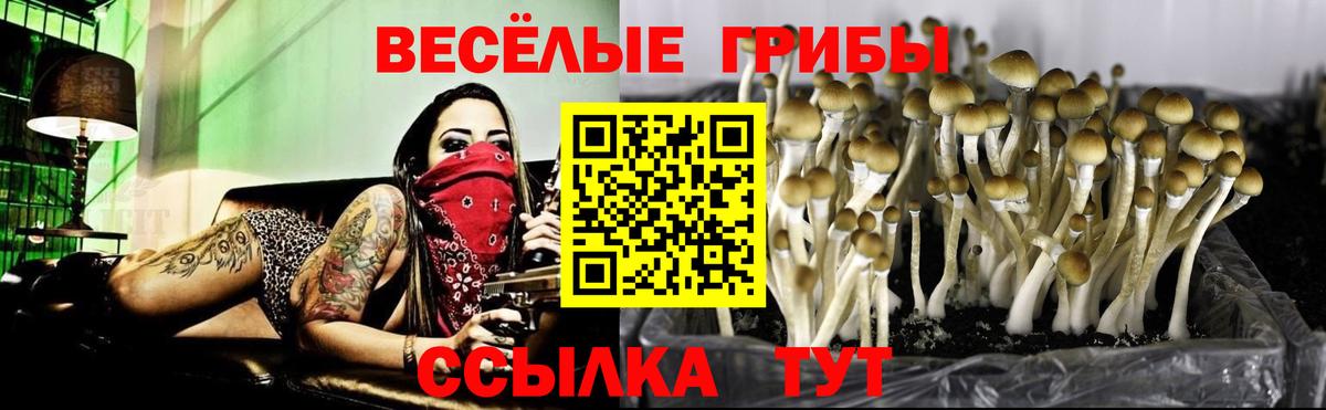Мегион  Галлюциногенные грибы мицелий  Псилоцибиновые грибы прущие грибы  Вход с VPN 